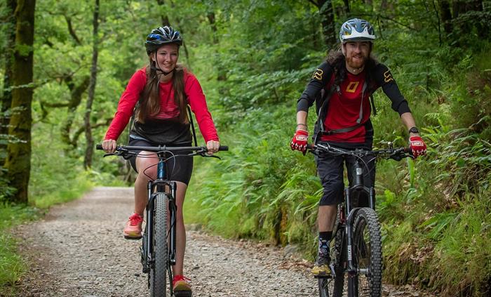 Yr Afon Trail Coed y Brenin
